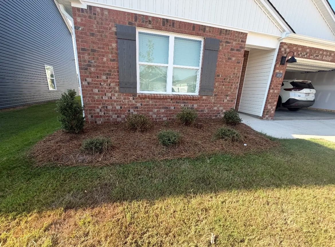 Gallery photos for Front Landscape Refresh That Actually Changed the Whole Look: Image #1