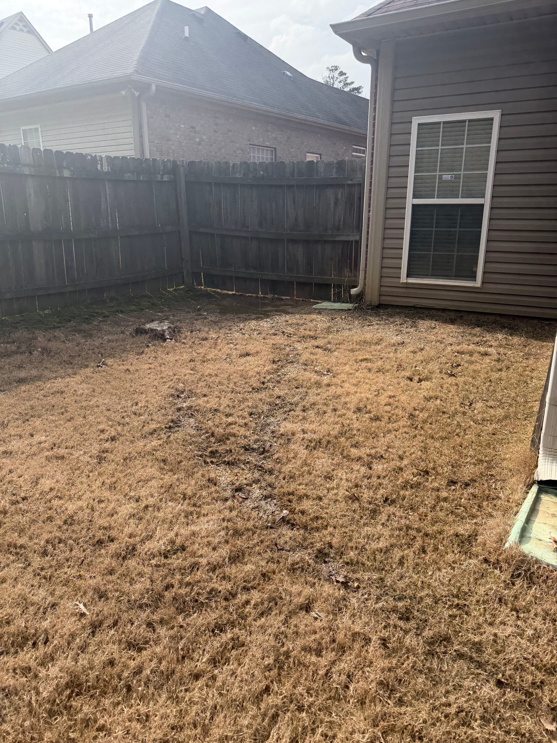 Backyard Overhaul Lawn Care Success image