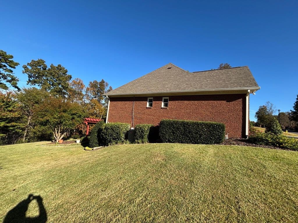 Gallery photos for Elevating Your Yard with Expert Care: Image #1