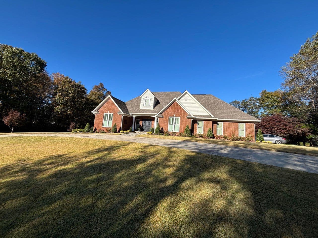 Gallery photos for Elevating Your Yard with Expert Care: Image #2