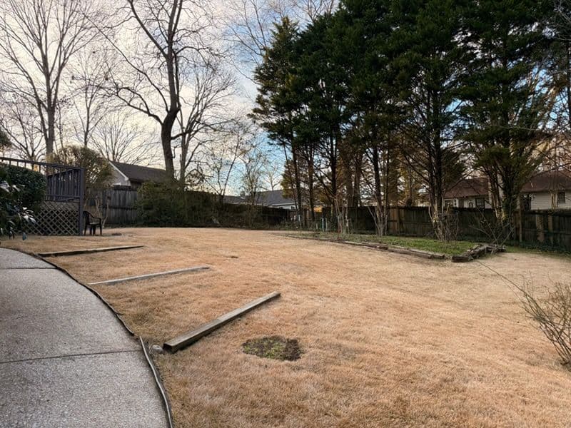 Gallery photos for Seasonal Cleanup for a Cozy Home in the Suburbs: Image #1